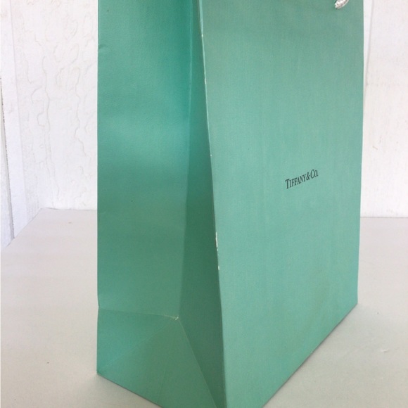 TIFFANY & CO PAPER SHOPPING BAG - Picture 6 of 11